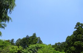 ロッキングテクニック　人間の動き