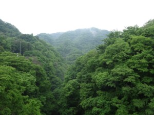 ロッキングテクニック　受け手との距離
