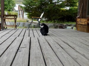 ロッキングテクニック　空間とともに動く